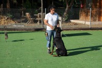 /album/trabajo-deportivo/curso-accam-17-06-10-054-jpg/